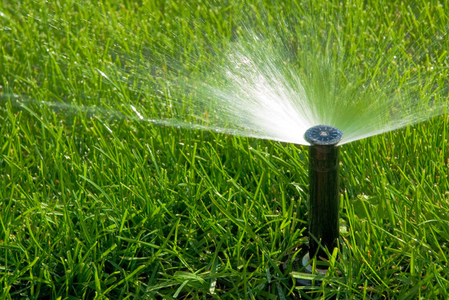 landscaping and irrigation