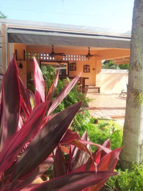 Inspiration för en mellanstor tropisk trädgård i delvis sol på sommaren, med marksten i tegel
