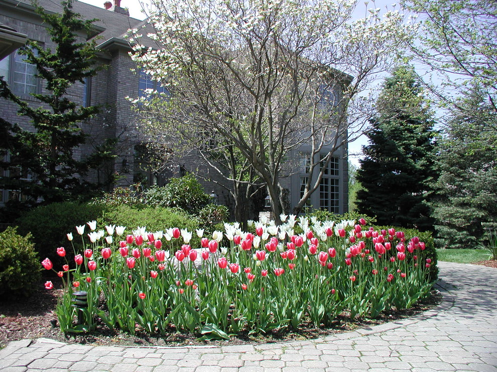 Kleiner, Halbschattiger Klassischer Vorgarten im Frühling in Detroit