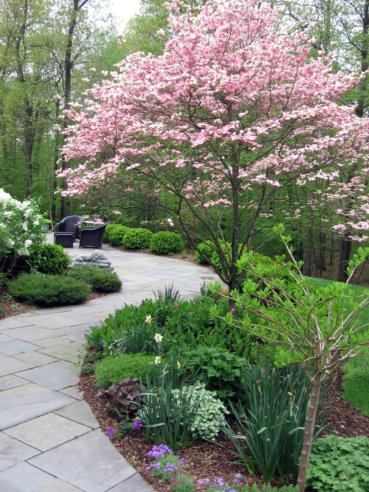 Photo of a traditional garden in New York.