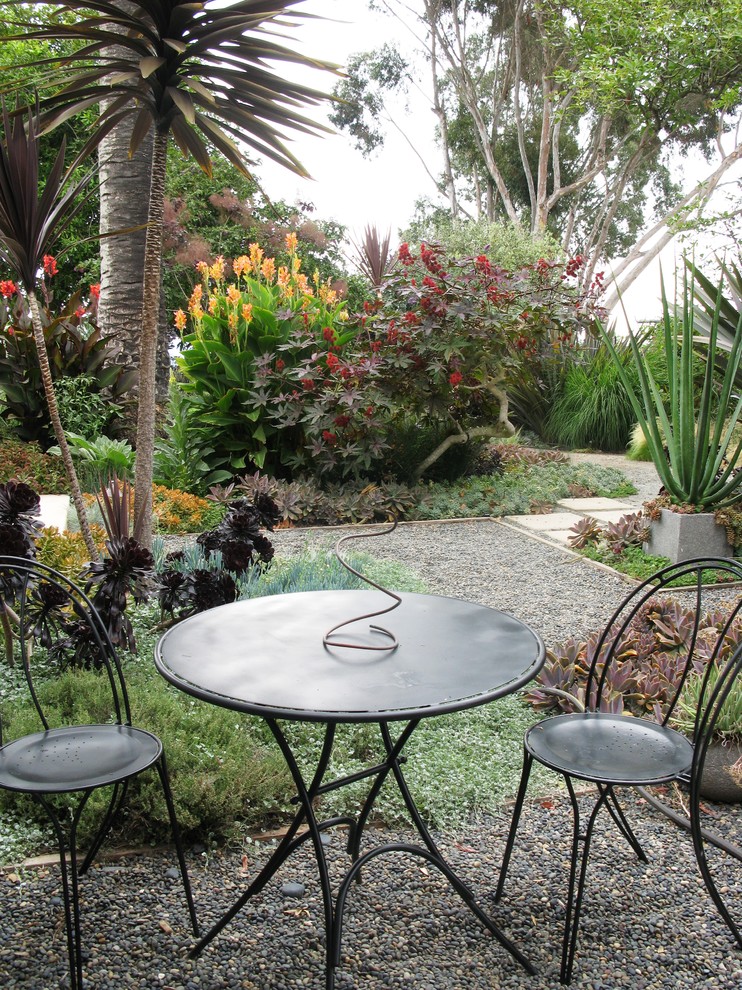 Imagen de jardín actual en patio trasero con gravilla