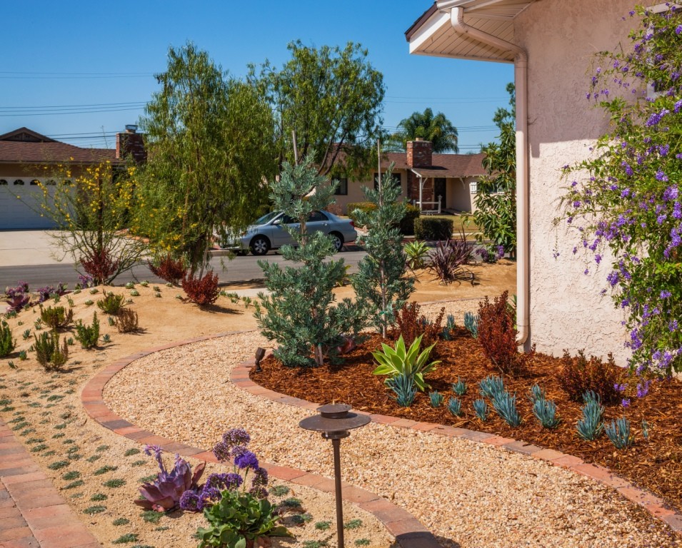 Imagen de jardín de secano de estilo americano de tamaño medio en patio lateral con exposición total al sol, gravilla y paisajismo estilo desértico