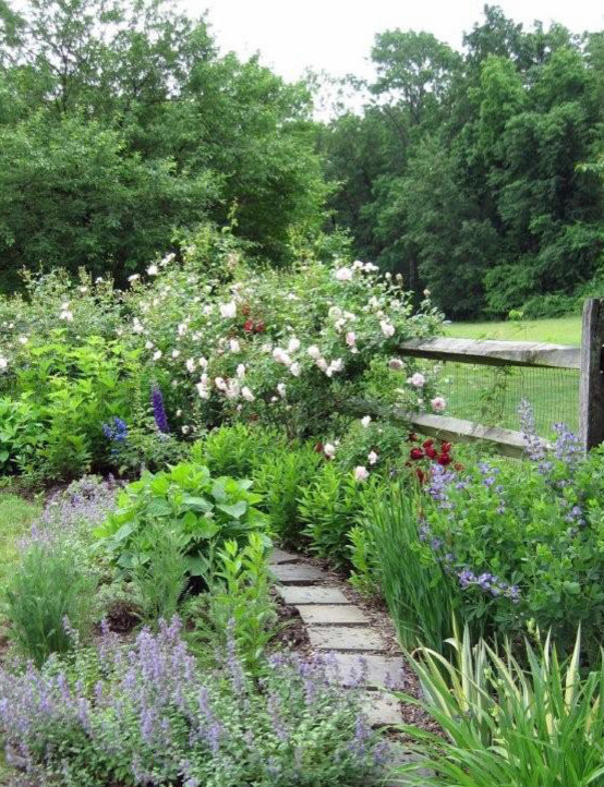 Aménagement d'un petit jardin arrière classique l'été avec une exposition ensoleillée et des pavés en pierre naturelle.