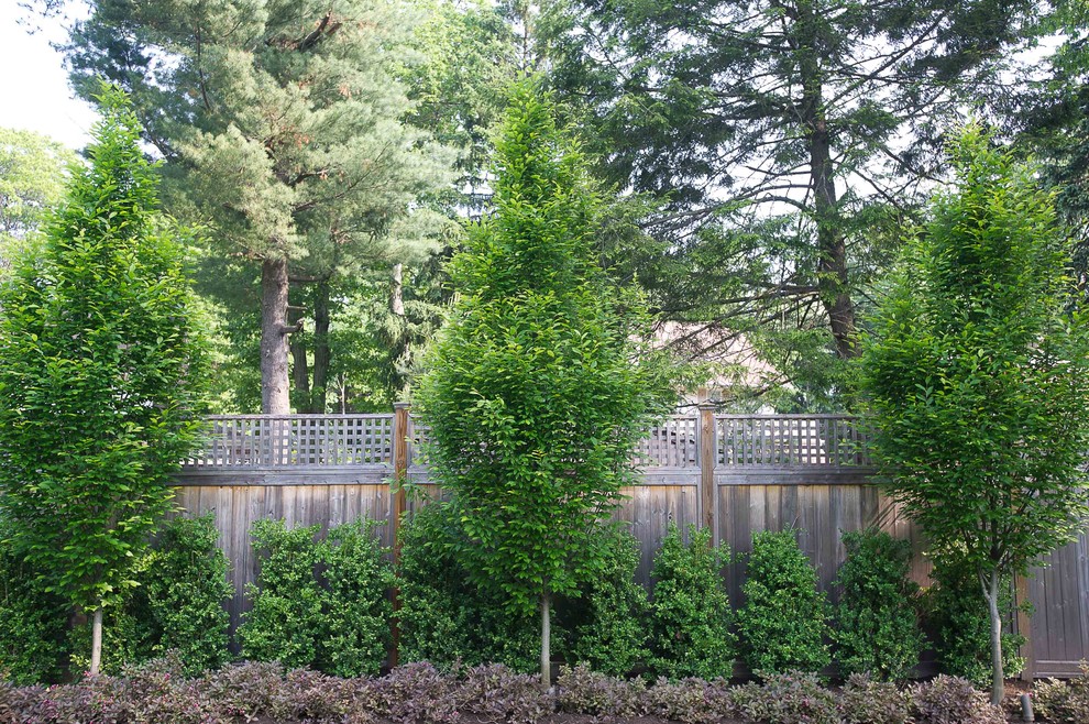 Immagine di un giardino tradizionale esposto in pieno sole di medie dimensioni e dietro casa