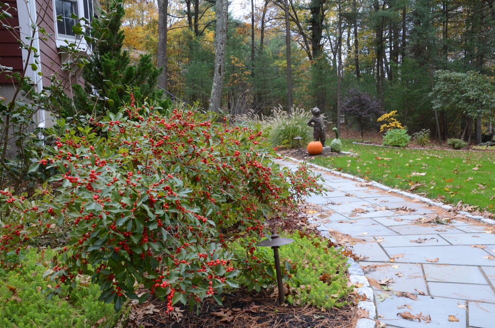 Mittelgroßer, Halbschattiger Klassischer Garten im Herbst mit Kübelpflanzen und Natursteinplatten in Boston