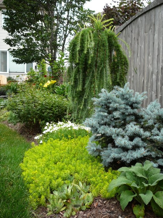 Photo of a landscaping in Ottawa.