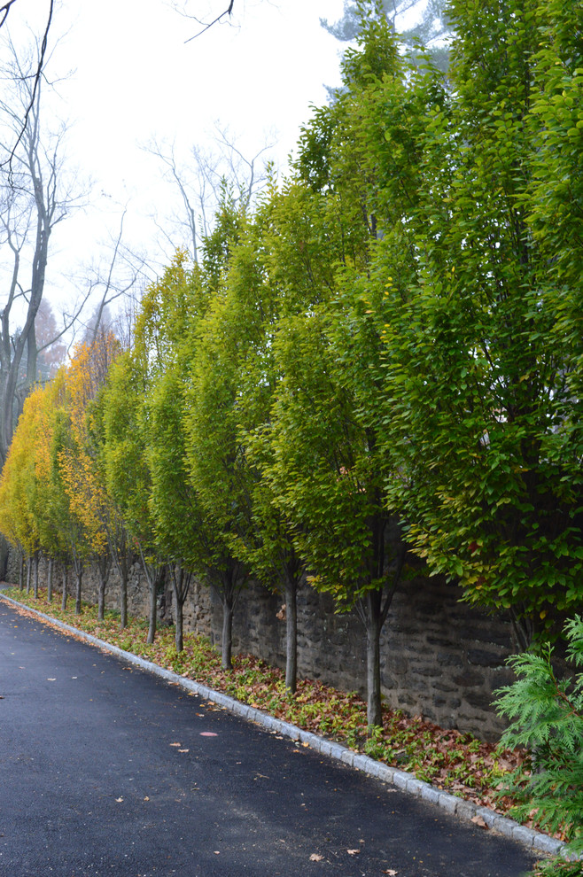 フィラデルフィアにある秋のトラディショナルスタイルのおしゃれな庭の写真