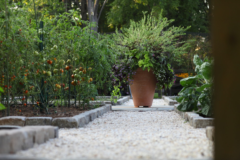 Immagine di un orto in giardino tradizionale esposto in pieno sole di medie dimensioni e nel cortile laterale in estate con ghiaia