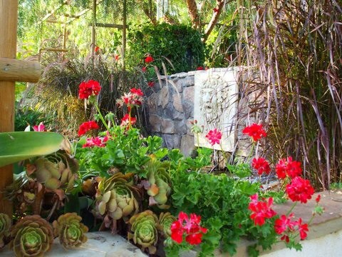 Kleiner Mediterraner Garten im Sommer, hinter dem Haus mit Wasserspiel, direkter Sonneneinstrahlung, Natursteinplatten und Steinzaun in San Diego