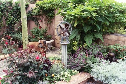 Источник вдохновения для домашнего уюта: солнечный, летний засухоустойчивый сад среднего размера на заднем дворе в средиземноморском стиле с клумбами, хорошей освещенностью, покрытием из каменной брусчатки и с каменным забором