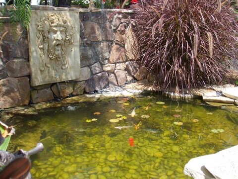 Cette image montre un petit jardin à la française arrière méditerranéen l'été avec un bassin, une exposition ensoleillée, des pavés en pierre naturelle et une clôture en pierre.