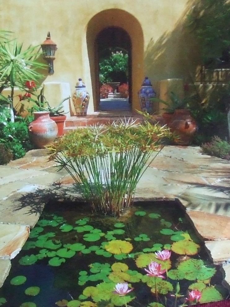 Imagen de jardín de secano mediterráneo extra grande en verano en patio delantero con estanque, exposición total al sol y adoquines de piedra natural