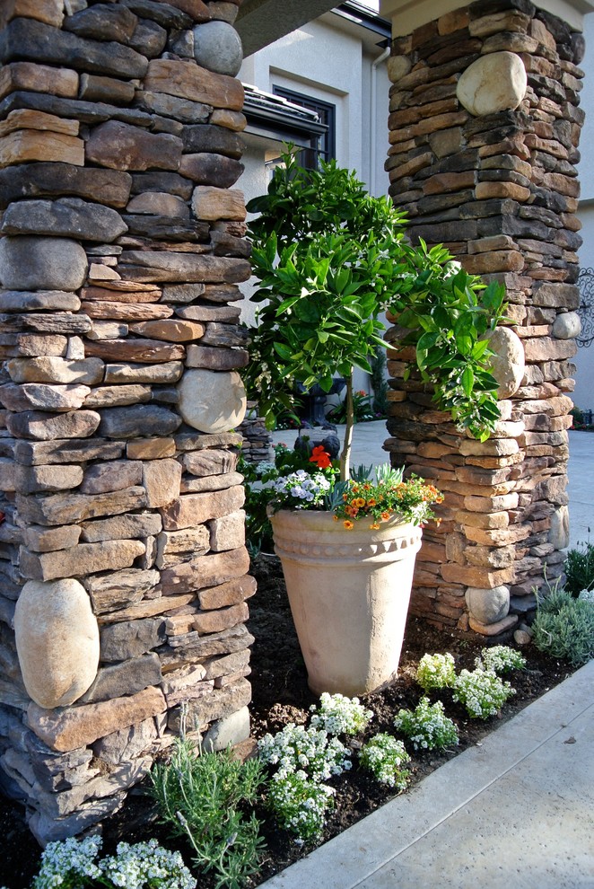 Foto di un piccolo vialetto d'ingresso mediterraneo esposto in pieno sole nel cortile laterale in estate con un giardino in vaso, pavimentazioni in cemento e recinzione in metallo