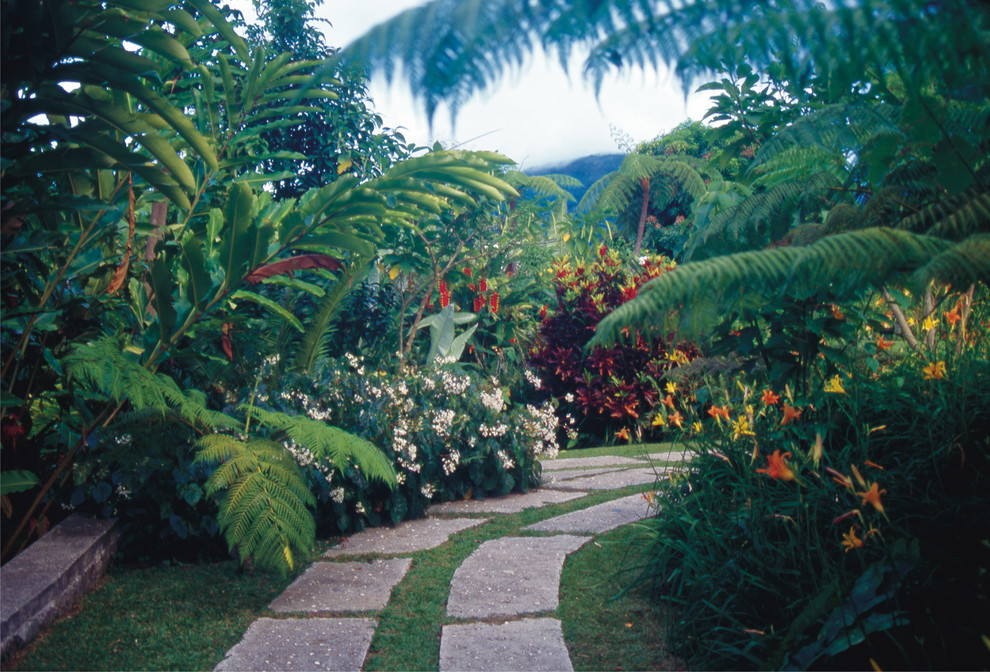 Bild på en mellanstor tropisk bakgård i skuggan, med en trädgårdsgång
