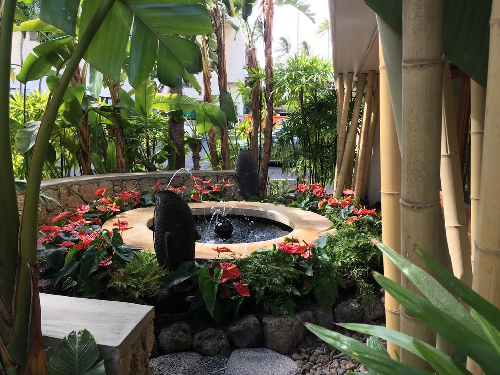 Idee per un piccolo giardino tropicale esposto in pieno sole dietro casa con fontane e pavimentazioni in pietra naturale