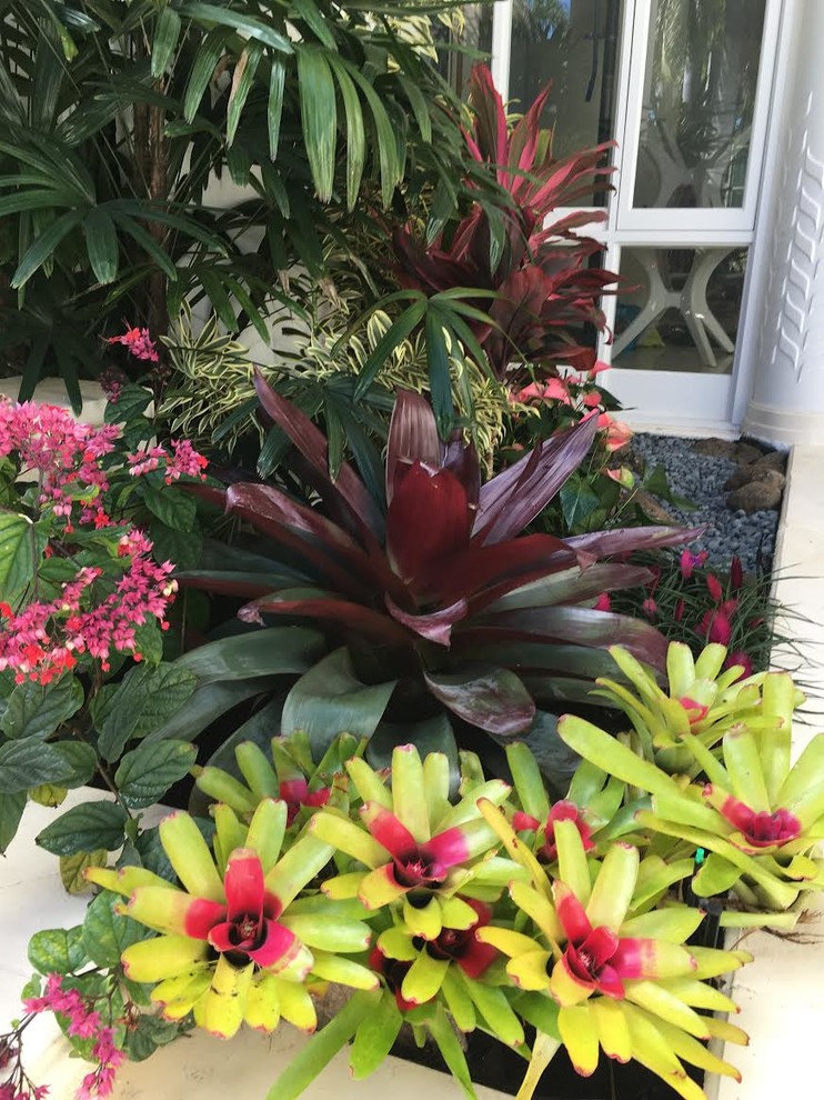 Gardens of Hawaii Tropical Landscape Hawaii by Stephen Haus
