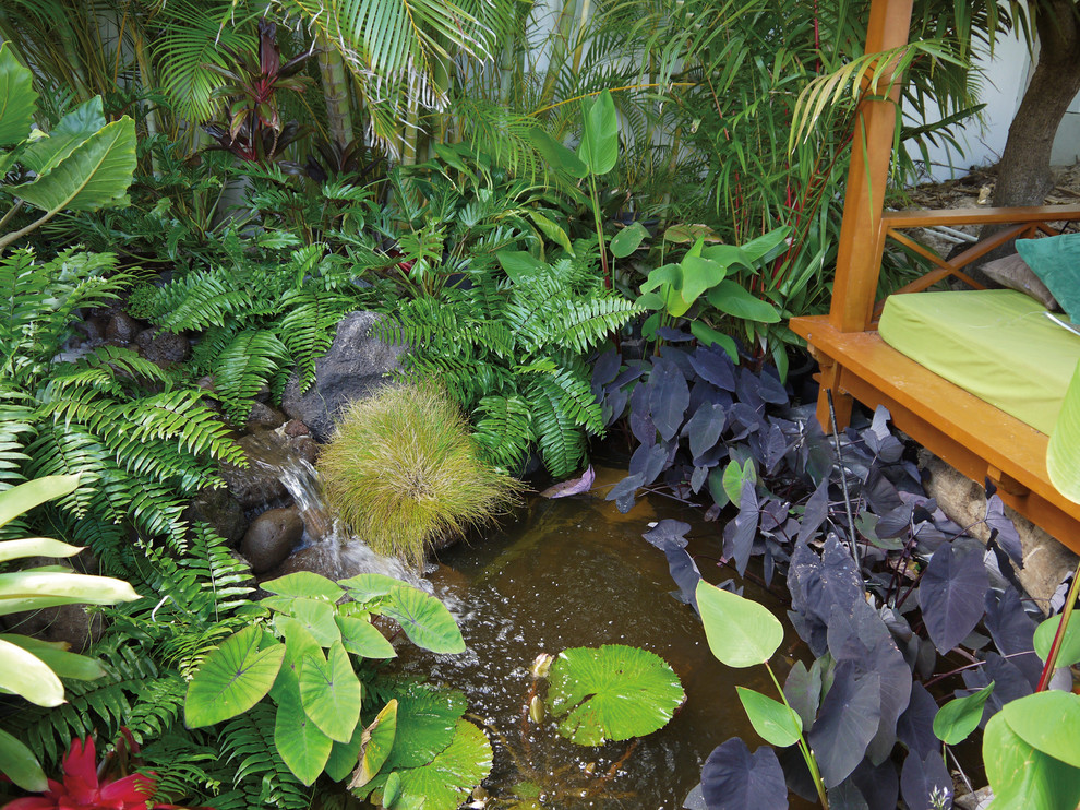Photo of a small world-inspired back fully shaded garden in Hawaii with a pond.