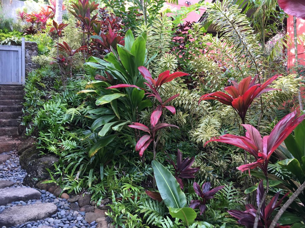 Idee per un giardino tropicale esposto in pieno sole di medie dimensioni e dietro casa con un ingresso o sentiero e pavimentazioni in pietra naturale