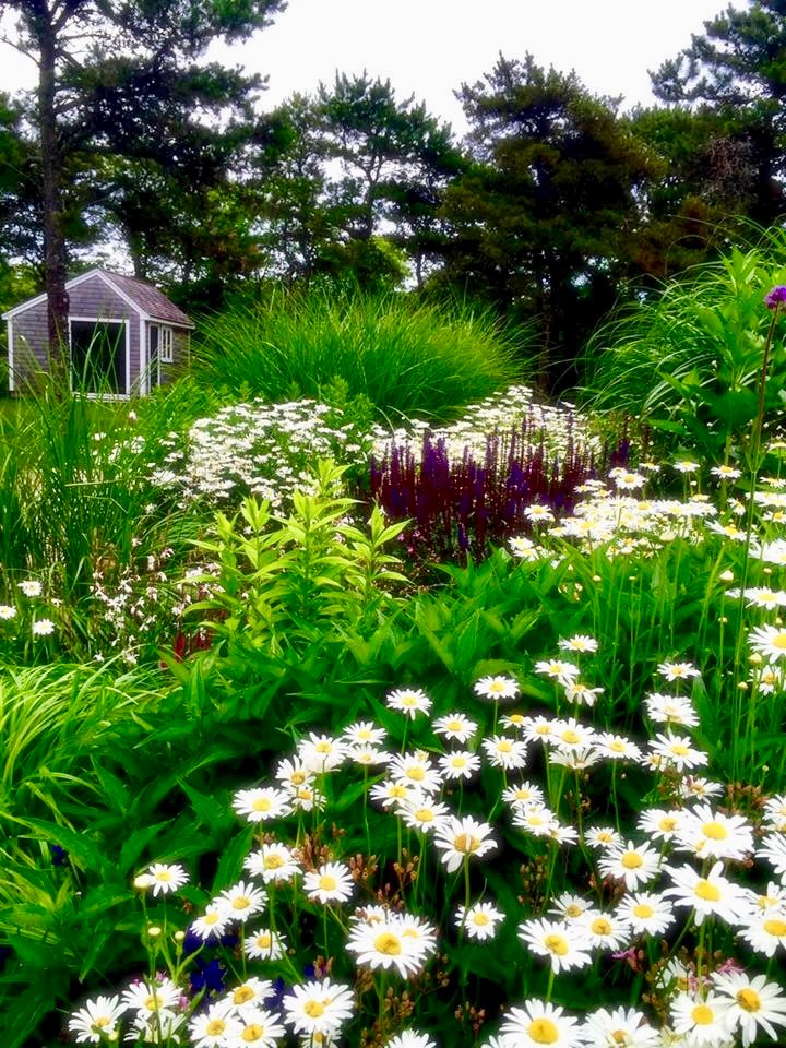 Immagine di un grande giardino xeriscape stile marinaro esposto in pieno sole davanti casa in estate con un ingresso o sentiero