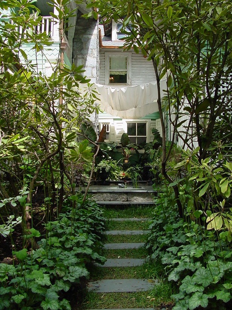 Foto di un giardino tropicale in ombra dietro casa