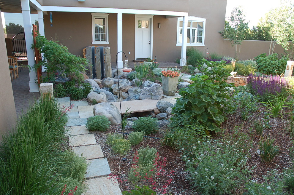 This is an example of a contemporary garden in Albuquerque.