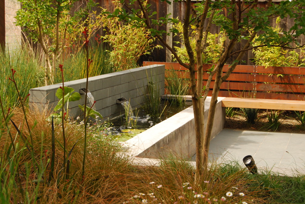Geometrischer, Mittelgroßer Moderner Garten hinter dem Haus mit Koiteich in San Francisco