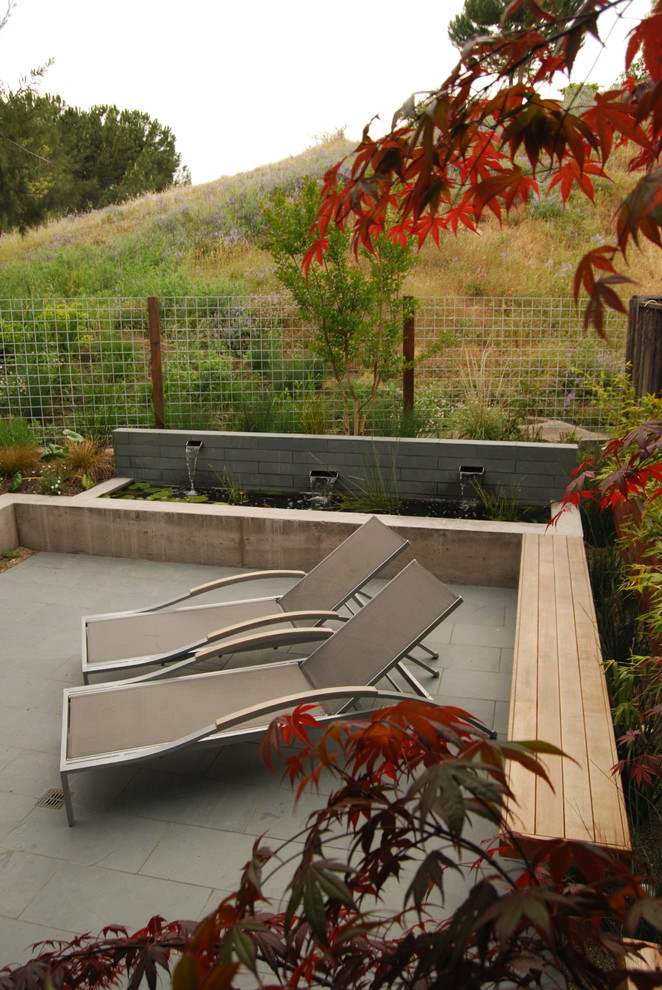 Photo of a mid-sized modern backyard formal garden in San Francisco with a water feature.
