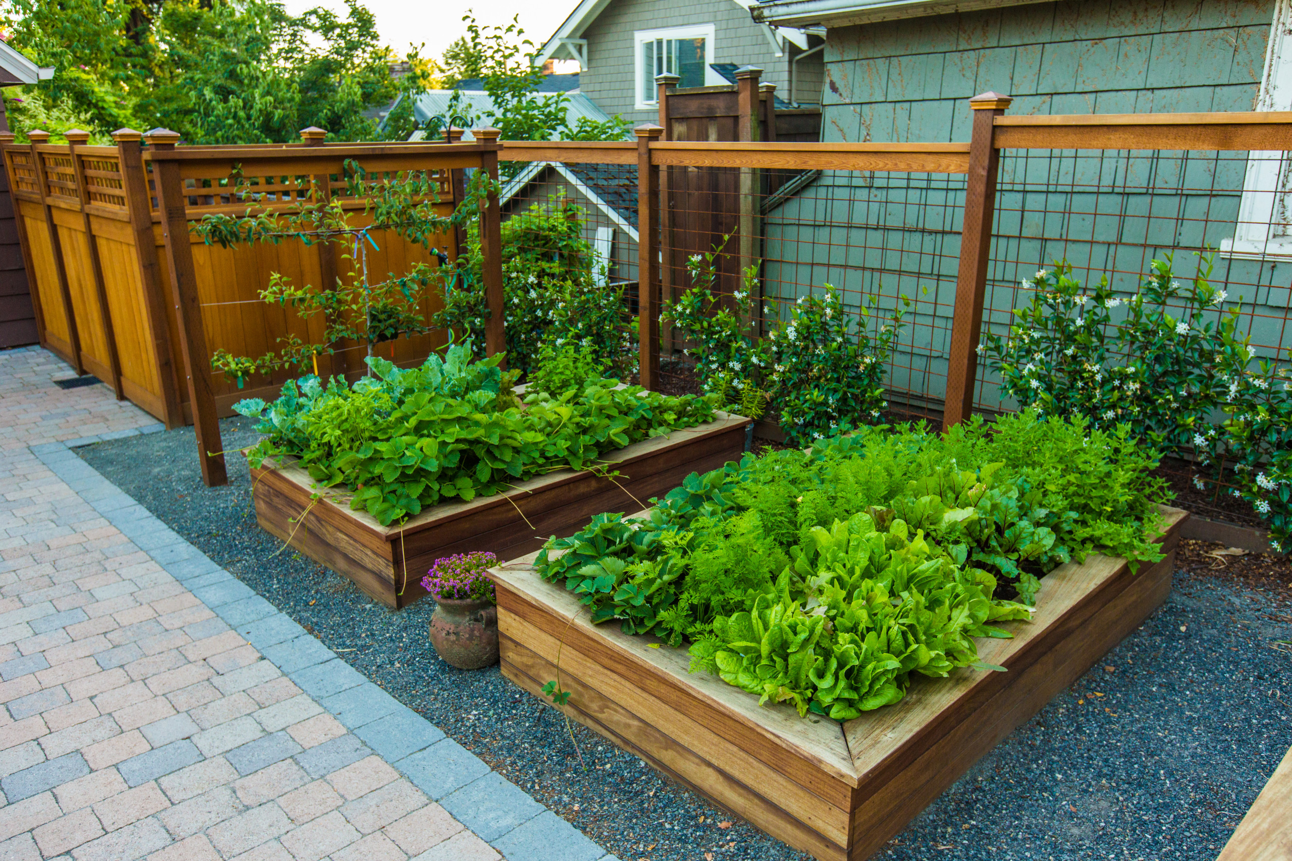 モダンスタイルのおしゃれな家庭菜園の画像 21年9月 Houzz ハウズ