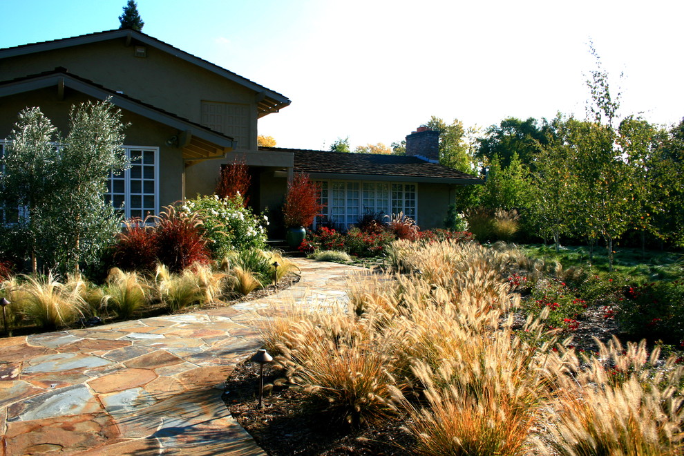 Inspiration for a contemporary front yard landscaping in Sacramento.