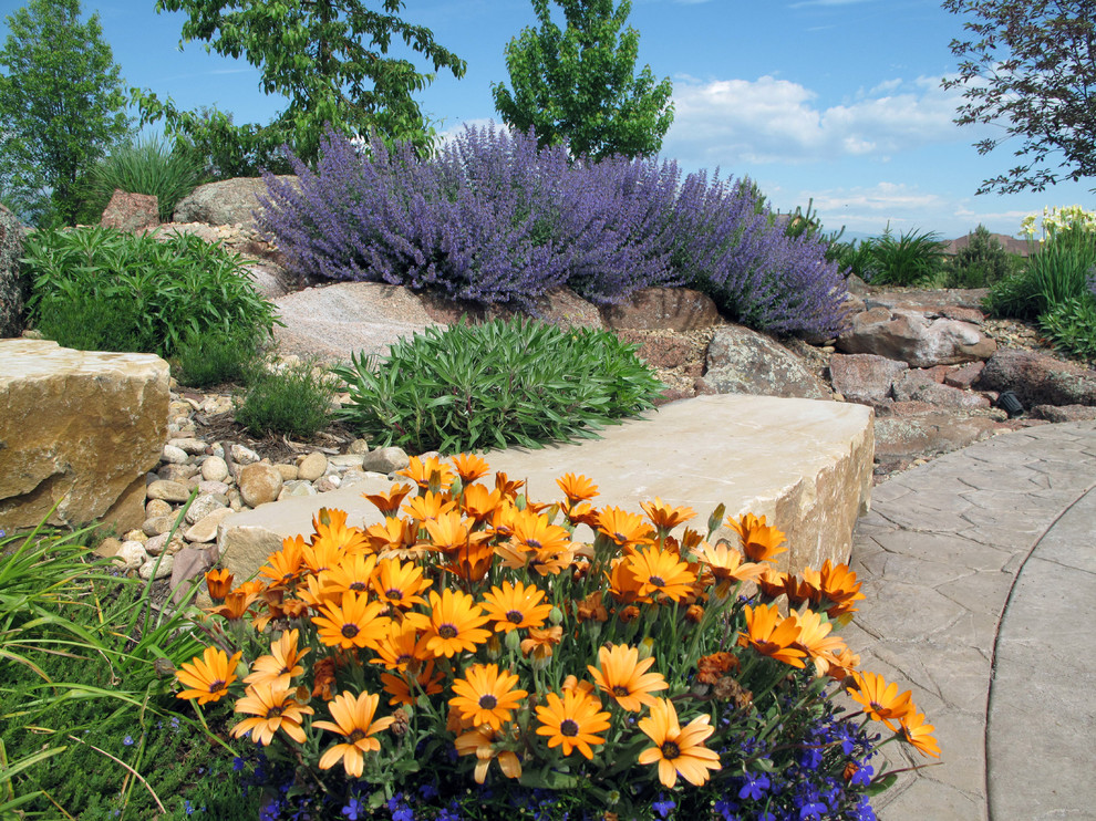 Mediterraner Garten in Denver