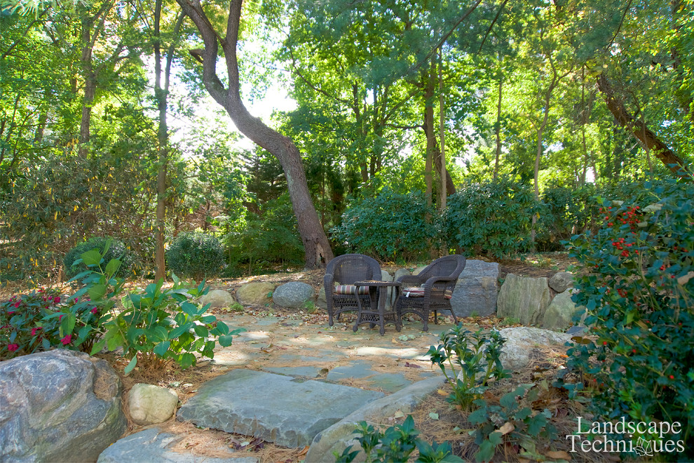 Стильный дизайн: большой участок и сад на заднем дворе в классическом стиле с покрытием из каменной брусчатки - последний тренд