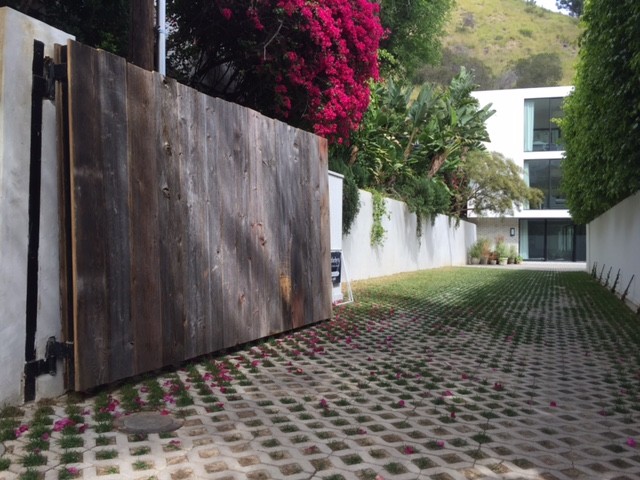 ロサンゼルスにある広いコンテンポラリースタイルのおしゃれな庭 (半日向、マルチング舗装) の写真