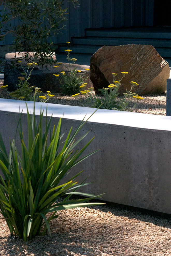 Photo of a modern landscaping in Sacramento.