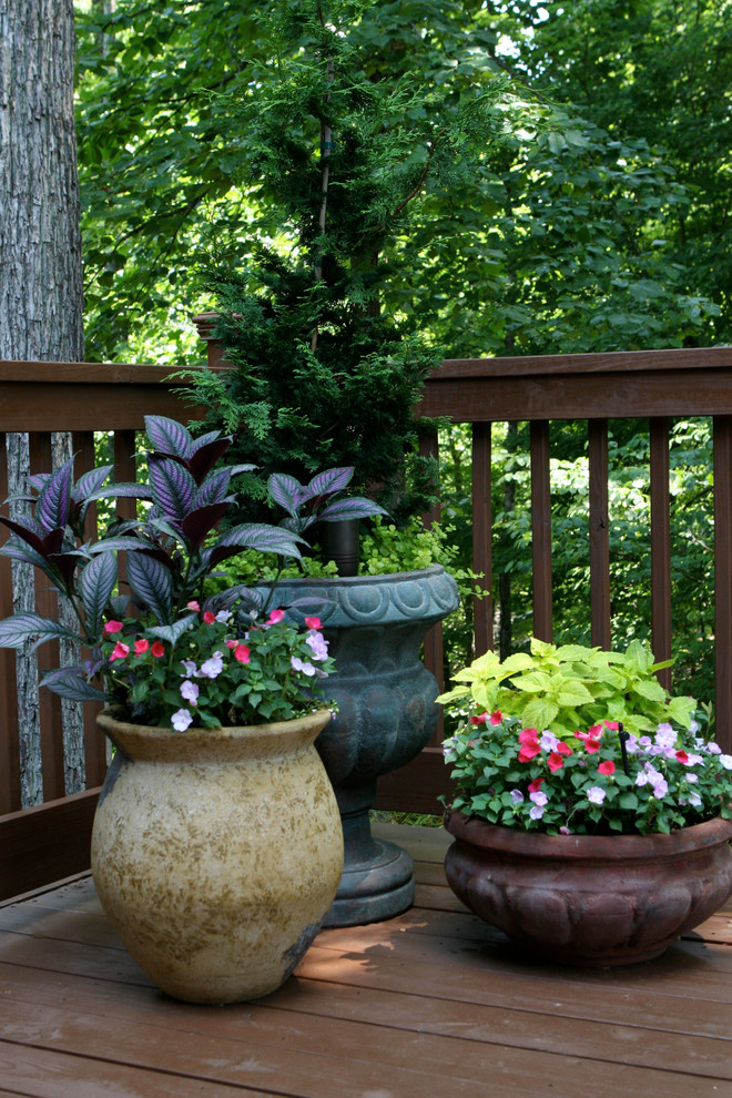Cette photo montre un jardin arrière tendance de taille moyenne avec une exposition partiellement ombragée et une terrasse en bois.