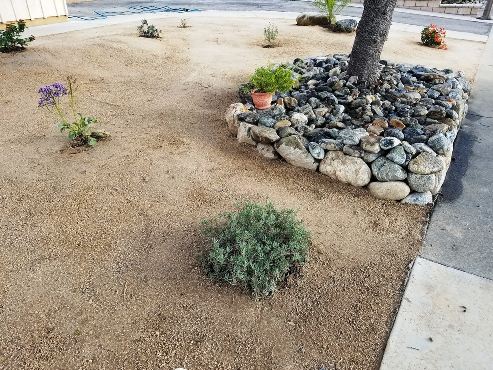 Ispirazione per un piccolo giardino xeriscape stile americano esposto in pieno sole davanti casa con un muro di contenimento e pavimentazioni in cemento