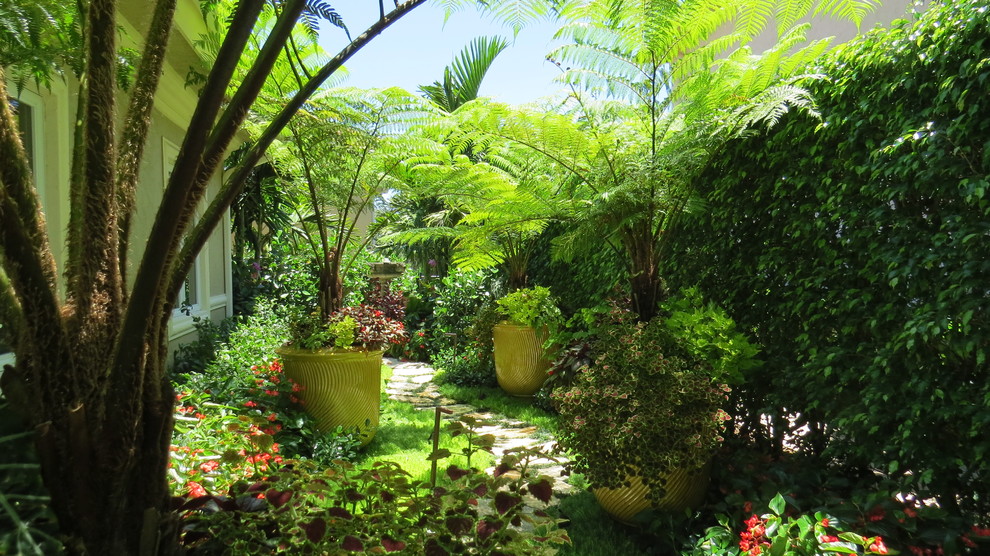 Foto di un giardino formale tropicale esposto a mezz'ombra di medie dimensioni e nel cortile laterale con pavimentazioni in pietra naturale