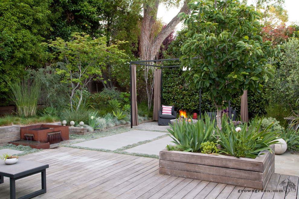 Esempio di un giardino xeriscape minimalista esposto in pieno sole di medie dimensioni e dietro casa con un focolare e pavimentazioni in cemento