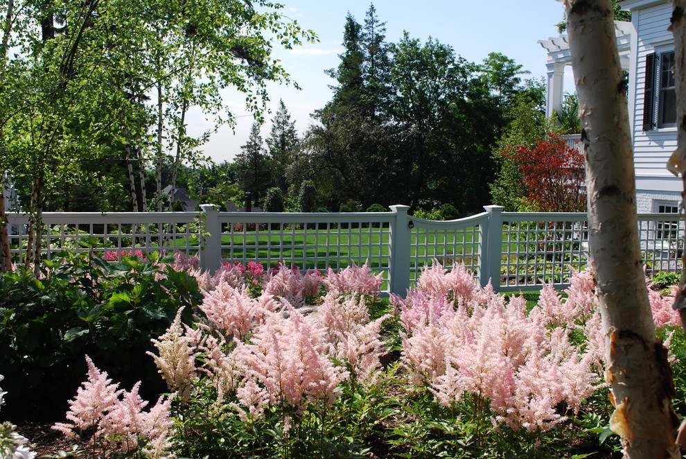 Foto di un giardino formale esposto in pieno sole di medie dimensioni e nel cortile laterale in estate