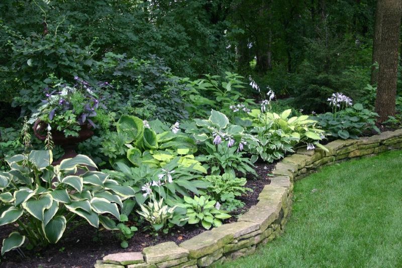 Photo of a medium sized classic back fully shaded garden for summer in Chicago with a retaining wall and natural stone paving.