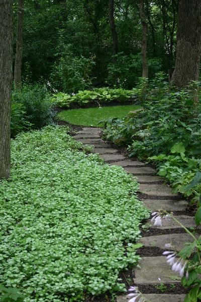 Inspiration for a classic back formal fully shaded garden for summer in Chicago with natural stone paving and a garden path.