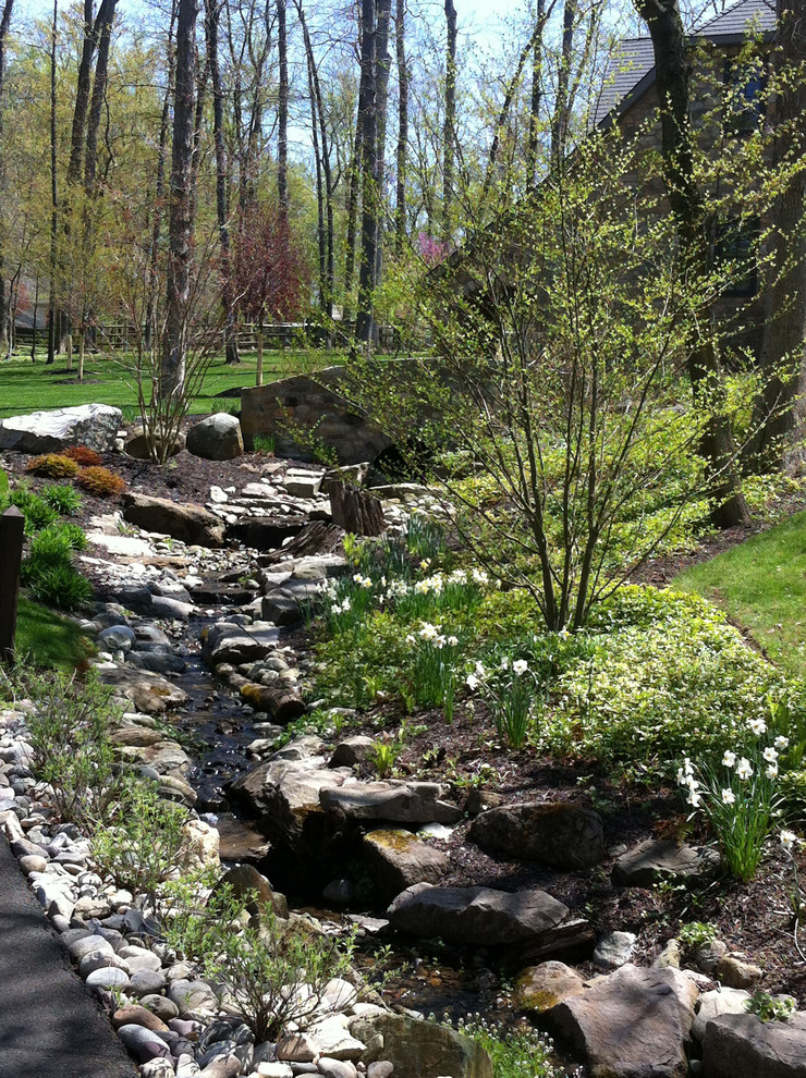 Photo of a rustic landscaping in Philadelphia.