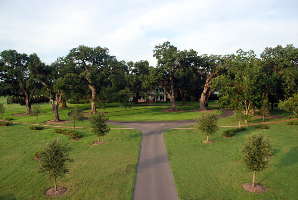 Photo of an expansive traditional front garden in New Orleans.