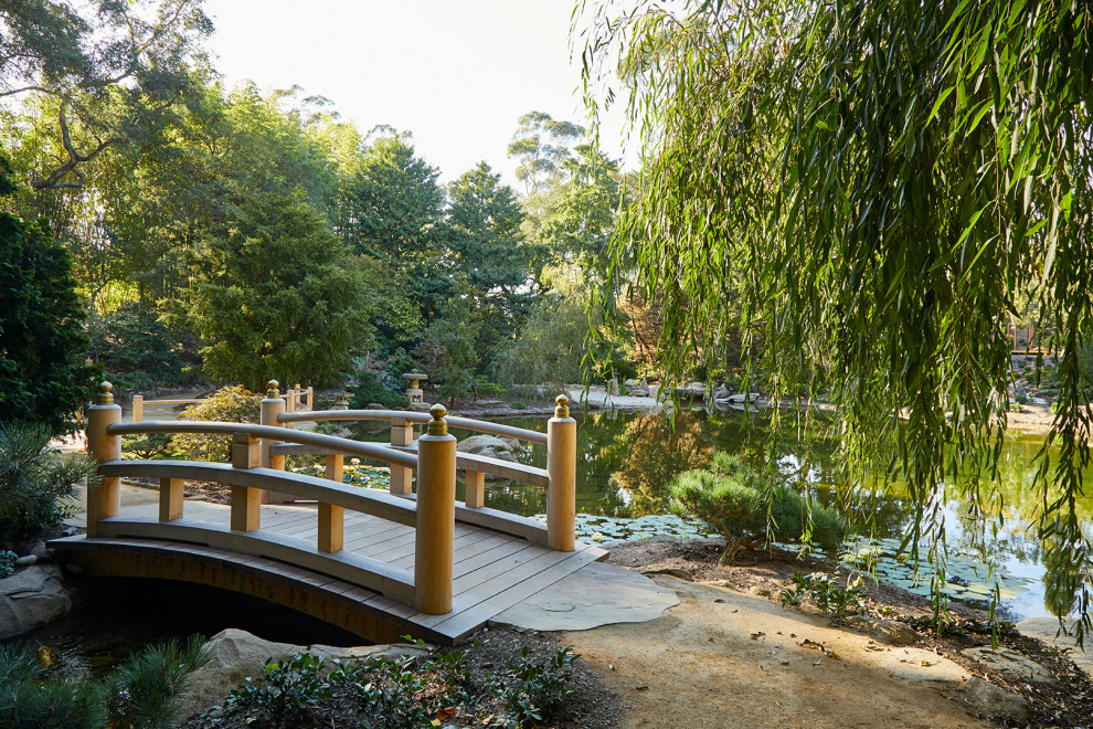 Foto på en orientalisk formell trädgård, med en damm