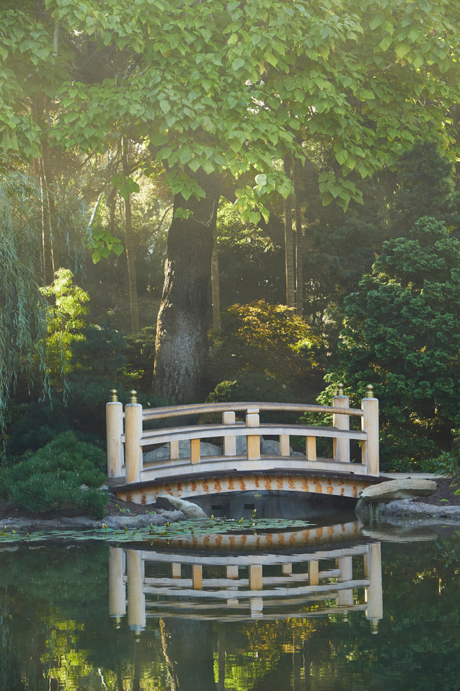 Cette photo montre un jardin à la française asiatique avec un bassin.