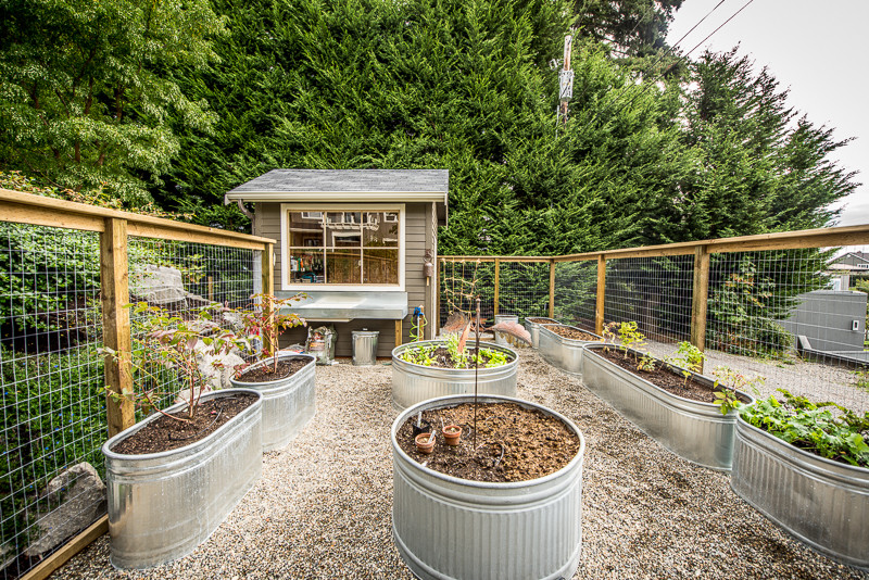 Ejemplo de jardín de estilo americano en patio trasero con huerto y gravilla