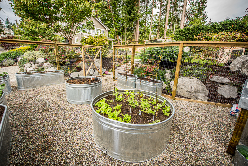 Inspiration for a craftsman backyard gravel vegetable garden landscape in Seattle.