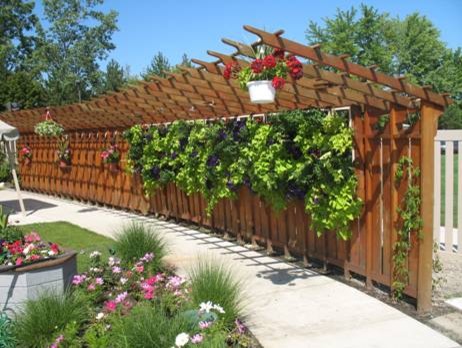 Kleiner Eklektischer Garten im Sommer mit direkter Sonneneinstrahlung in Detroit