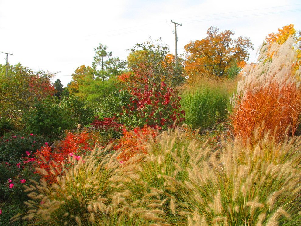 Exemple d'un petit jardin à la française latéral tendance l'automne avec une exposition ensoleillée.