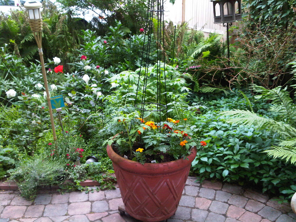 Cette image montre un jardin avant traditionnel de taille moyenne et au printemps avec une exposition partiellement ombragée et des pavés en brique.