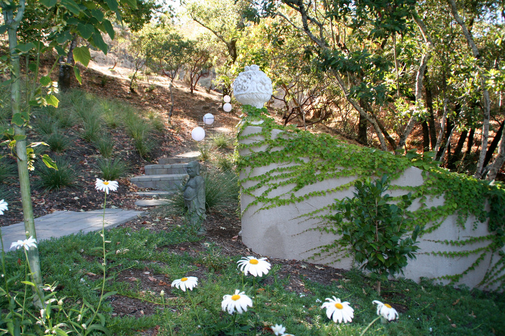 Photo of a traditional hillside landscaping in San Francisco.
